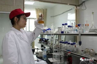 肥西縣高新技術(shù)企業(yè)認(rèn)定實(shí)現(xiàn)新突破 科技中介服務(wù)助力產(chǎn)業(yè)升級